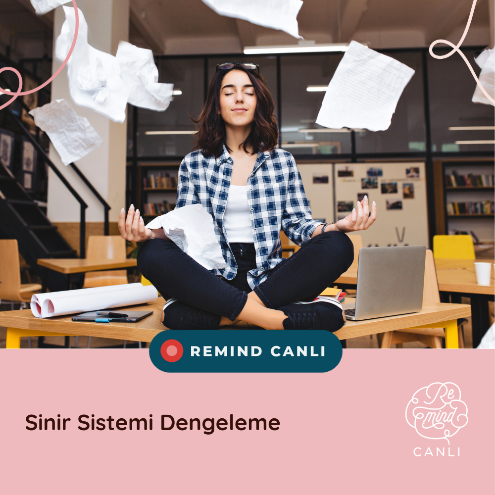 Sinir Sistemi Dengeleme